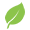 Sustainably Source Icon